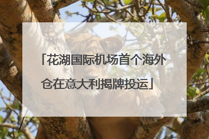 花湖国际机场首个海外仓在意大利揭牌投运