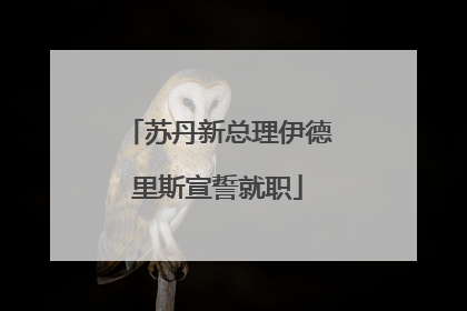苏丹新总理伊德里斯宣誓就职