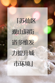 苏仙区观山洞街道多维发力提升城市环境