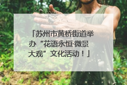 苏州市黄桥街道举办“花语永恒·微景大观”文化活动！