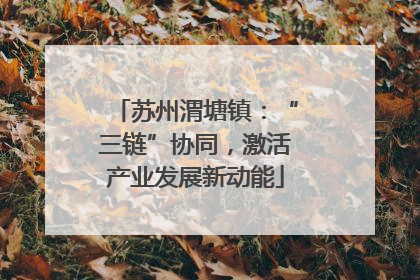 苏州渭塘镇：“三链”协同，激活产业发展新动能