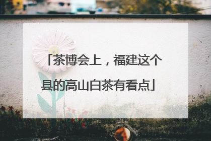 茶博会上，福建这个县的高山白茶有看点