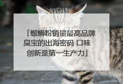 螺蛳粉销量最高品牌臭宝的出海密码 口味创新是第一生产力
