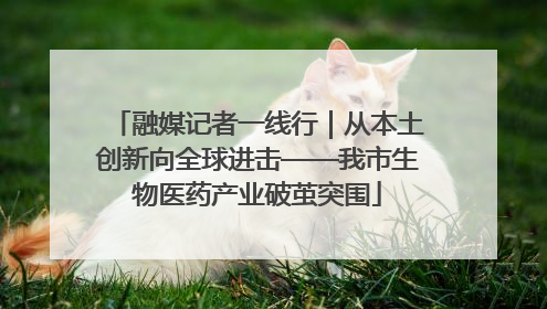 融媒记者一线行｜从本土创新向全球进击——我市生物医药产业破茧突围
