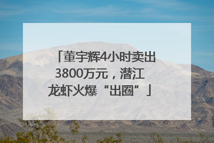 董宇辉4小时卖出3800万元，潜江龙虾火爆“出圈”