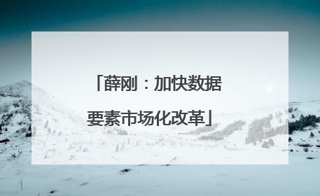薛刚：加快数据要素市场化改革