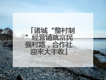 诸城“整村制”经营铺就富民强村路，合作社迎来大丰收