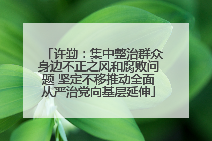 许勤：集中整治群众身边不正之风和腐败问题 坚定不移推动全面从严治党向基层延伸