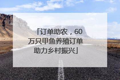 订单助农，60万只甲鱼养殖订单助力乡村振兴