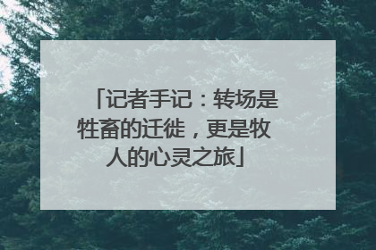 记者手记：转场是牲畜的迁徙，更是牧人的心灵之旅