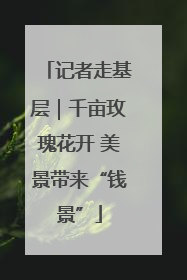 记者走基层｜千亩玫瑰花开 美景带来“钱景”