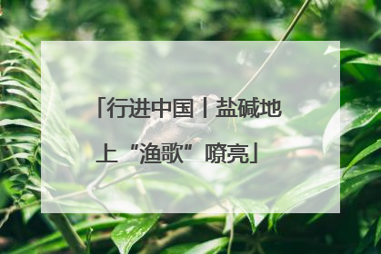 行进中国丨盐碱地上“渔歌”嘹亮