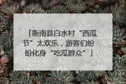 衡南县白水村“西瓜节”太欢乐，游客们纷纷化身“吃瓜群众”