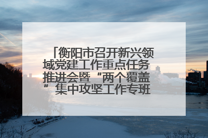 衡阳市召开新兴领域党建工作重点任务推进会暨“两个覆盖”集中攻坚工作专班 第一次会议