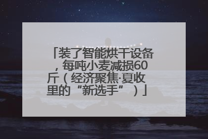 装了智能烘干设备，每吨小麦减损60斤（经济聚焦·夏收里的“新选手”）