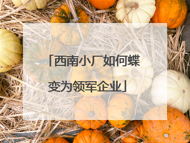 西南小厂如何蝶变为领军企业