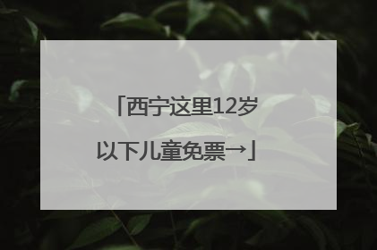 西宁这里12岁以下儿童免票→