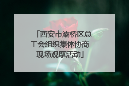 西安市灞桥区总工会组织集体协商现场观摩活动