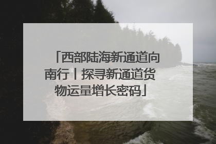 西部陆海新通道向南行丨探寻新通道货物运量增长密码