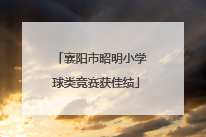 襄阳市昭明小学球类竞赛获佳绩