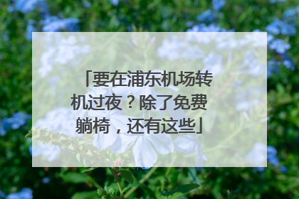要在浦东机场转机过夜？除了免费躺椅，还有这些