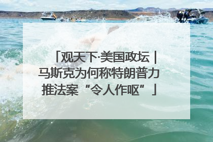 观天下·美国政坛｜马斯克为何称特朗普力推法案“令人作呕”