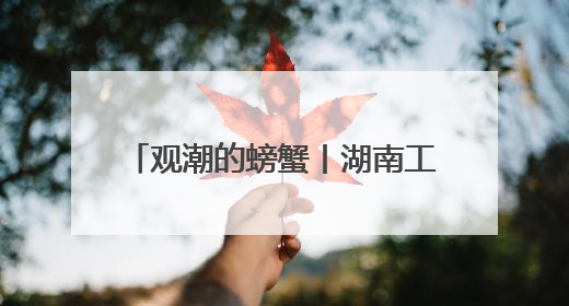 观潮的螃蟹丨湖南工程机械“双城记”