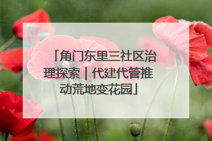 角门东里三社区治理探索｜代建代管推动荒地变花园