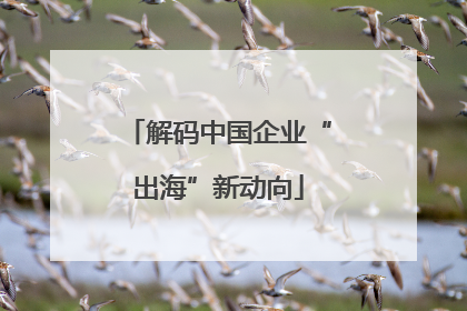 解码中国企业“出海”新动向