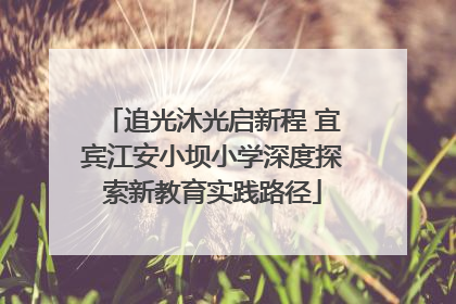追光沐光启新程 宜宾江安小坝小学深度探索新教育实践路径