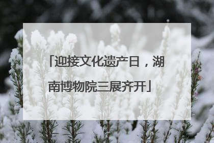 迎接文化遗产日，湖南博物院三展齐开
