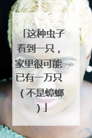这种虫子看到一只，家里很可能已有一万只（不是蟑螂）