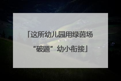 这所幼儿园用绿茵场“破题”幼小衔接