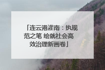 连云港灌南：执规范之笔 绘就社会高效治理新画卷