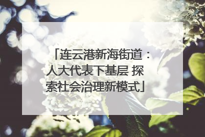 连云港新海街道：人大代表下基层 探索社会治理新模式