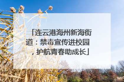 连云港海州新海街道：禁毒宣传进校园，护航青春助成长