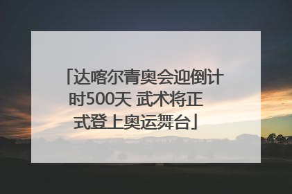 达喀尔青奥会迎倒计时500天 武术将正式登上奥运舞台