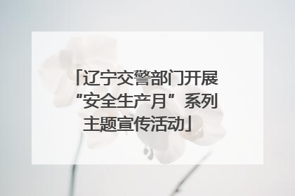 辽宁交警部门开展“安全生产月”系列主题宣传活动