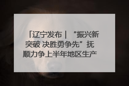 辽宁发布｜“振兴新突破 决胜勇争先”抚顺力争上半年地区生产总值增长7%左右