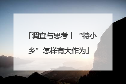 调查与思考丨“特小乡”怎样有大作为