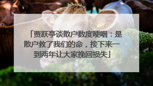 贾跃亭谈散户数度哽咽：是散户救了我们的命，接下来一到两年让大家挽回损失