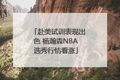 赴美试训表现出色 杨瀚森NBA选秀行情看涨