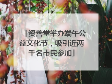 资善堂举办端午公益文化节，吸引近两千名市民参加