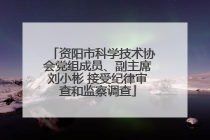 资阳市科学技术协会党组成员、副主席刘小彬 接受纪律审查和监察调查