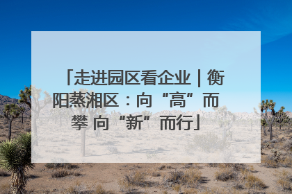 走进园区看企业｜衡阳蒸湘区：向“高”而攀 向“新”而行