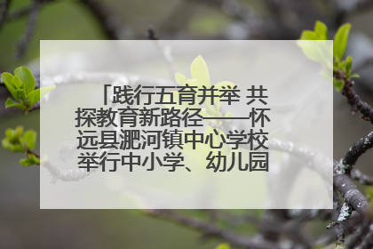 践行五育并举 共探教育新路径——怀远县淝河镇中心学校举行中小学、幼儿园班主任论坛活动