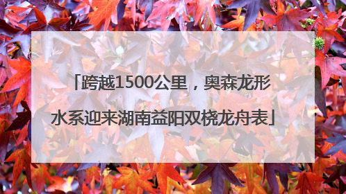 跨越1500公里，奥森龙形水系迎来湖南益阳双桡龙舟表