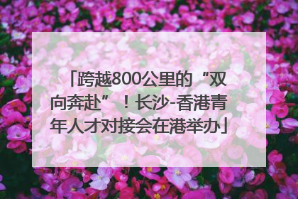 跨越800公里的“双向奔赴”！长沙-香港青年人才对接会在港举办