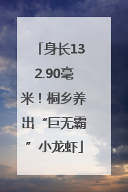 身长132.90毫米！桐乡养出“巨无霸”小龙虾
