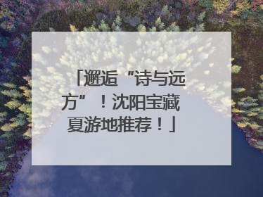 邂逅“诗与远方”！沈阳宝藏夏游地推荐！